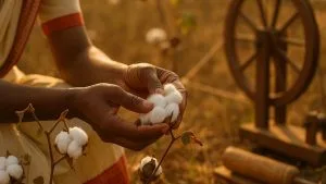 Gros plan sur des fibres de coton naturelles cueillies à la main en Inde